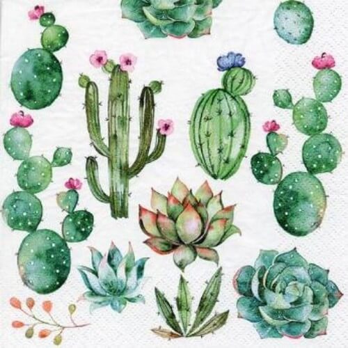 Χαρτοπετσέτα για Decoupage, Cactus & Succulents, 1τεμ
