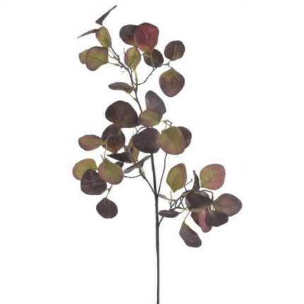 Ευκάλυπτος κλαδί, 70cm, brown