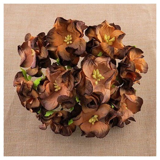 Λουλούδια CHOCOLATE/BROWN GARDENIA, 35mm