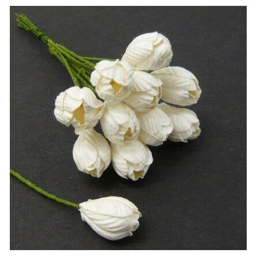 Λουλούδια WHITE TULIP FLOWERS -10 τεμ