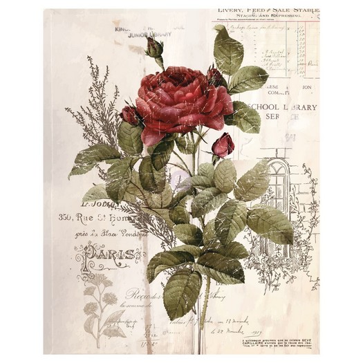 Χαρτί Decor Transfer Prima Re-Design, Botanical Rose, 61x76cm