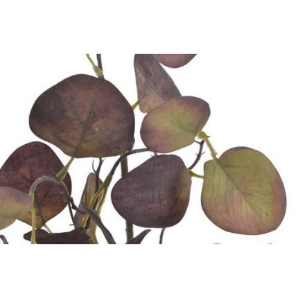Ευκάλυπτος κλαδί, 70cm, brown