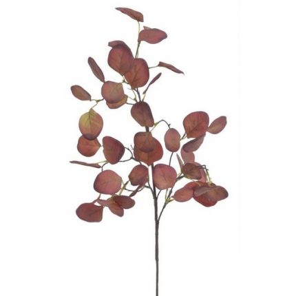 Ευκάλυπτος κλαδί, 70cm, red