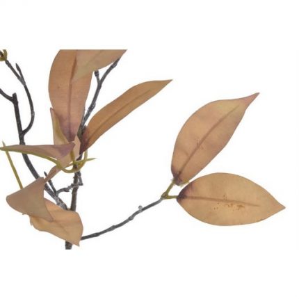 Φυλλώδες κλαδί, 83cm, brown