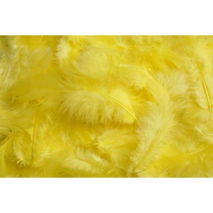 Φτερά πακέτο 10gr, yellow