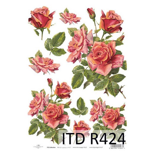 Ριζόχαρτο ITD, 21x29cm, Σομόν τριαντάφυλλα, R424