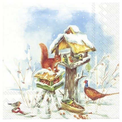 Χριστουγεννιάτικη χαρτοπετσέτα για decoupage, Lunch hour at the bird feeder
