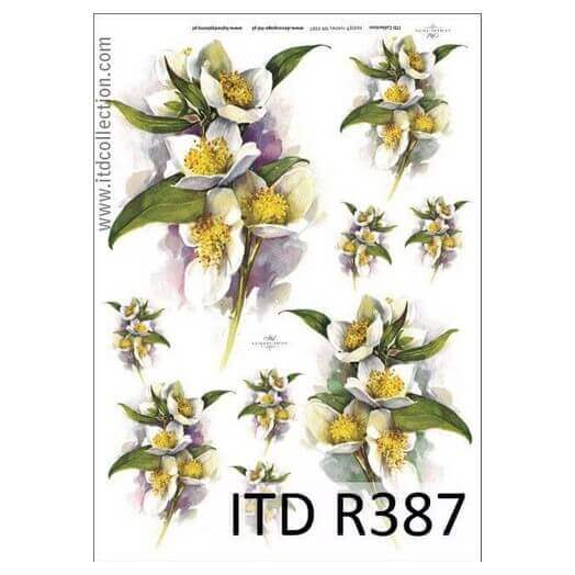Ριζόχαρτο ITD, 21x29cm, Λευκά λουλούδια, R387