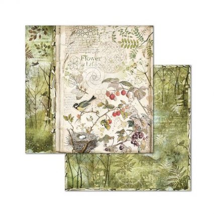 Χαρτιά scrapbooking 10τεμ Stamperia 20,3×20,3cm, Forest