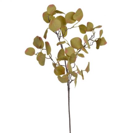 Ευκάλυπτος κλαδί, 70cm, autumn green