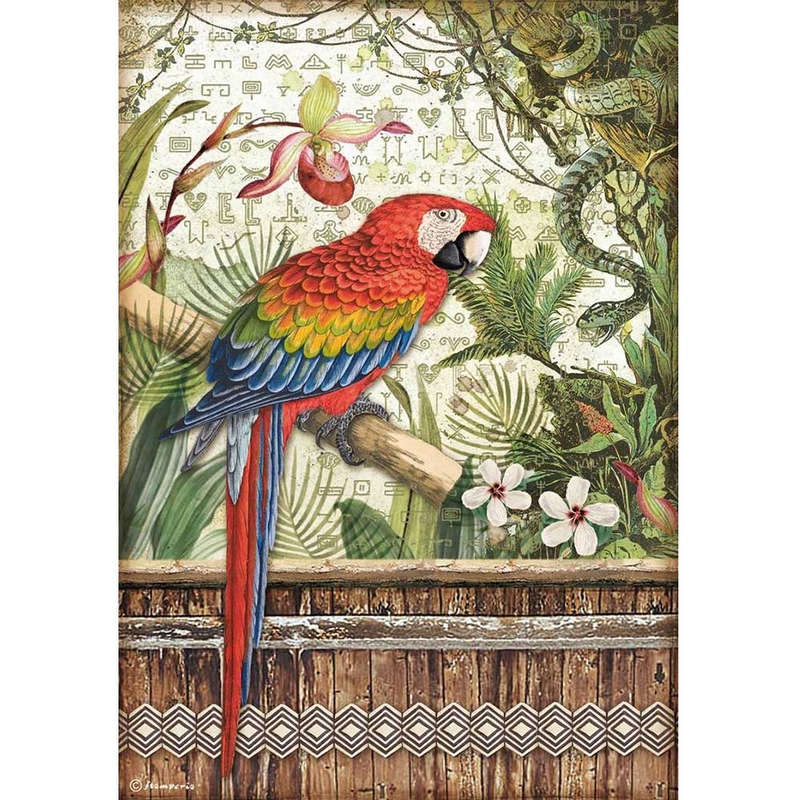 Ριζόχαρτο Stamperia 21x29cm, Amazonia, Parrot