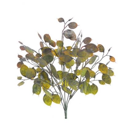 Κλαδί με πλατύφυλλα, green-brown, 36cm