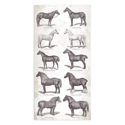 Χαρτιά scrapbooking Stamperia 10τεμ μονής όψης, 15x30,5cm Romantic Horses