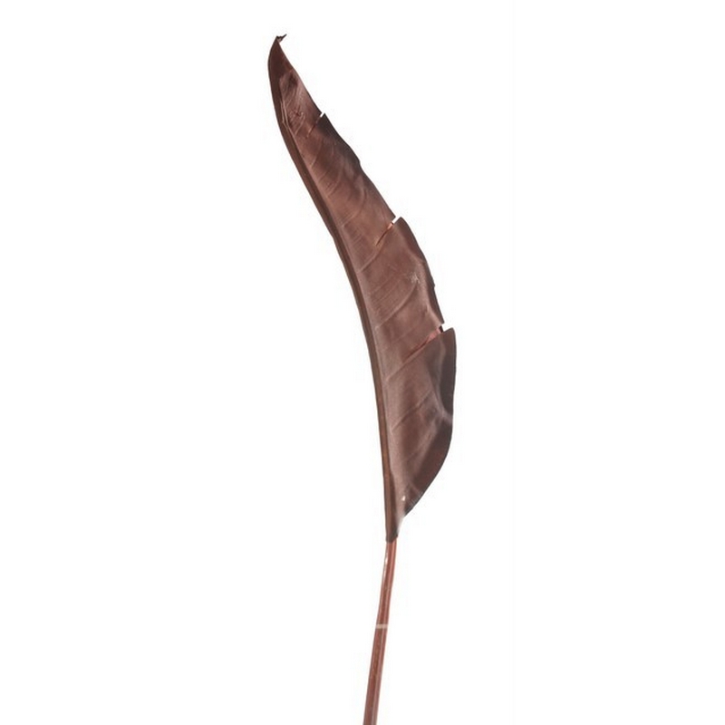 Ορχιδέα κλαδί, 76cm, pink