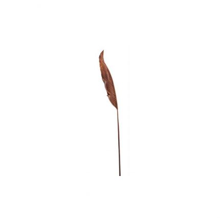 Φύλλο φοίνικα, 106cm, light brown