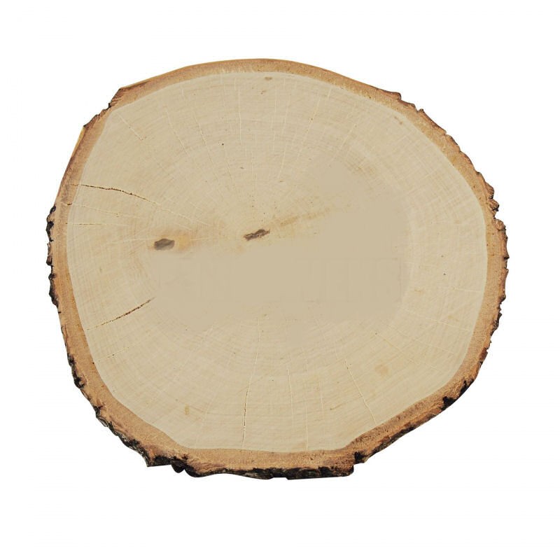 Φέτα κορμού δέντρου, 20-24cm
