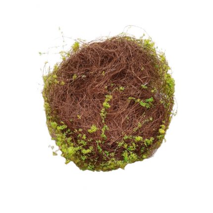 Φωλιά με moss διακοσμητικές 20cm