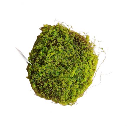 Φωλιά με moss διακοσμητικές 20cm