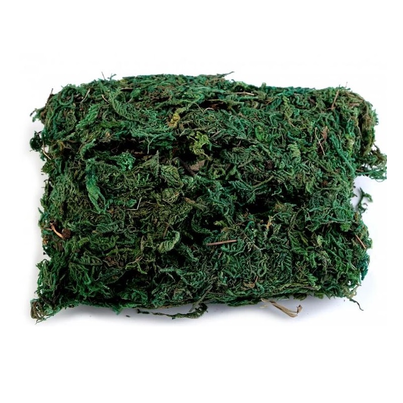 Βρύα φυσικό (Moss)  πράσινο, 40gr