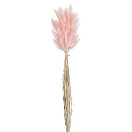 Μπουκέτο κλαδιά Lagurus, 65cm, ανοιχτό ροζ