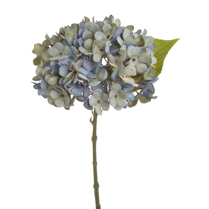 Ορτανσία κλαδί, 33cm, μπλε