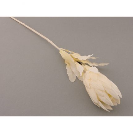 Πρωτέα, τεχνητό λουλούδι, ivory, 70cm