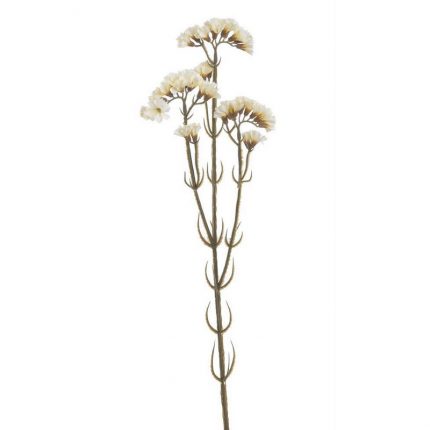 Λομελόζια λουλούδι τεχνητό, 60cm, cream