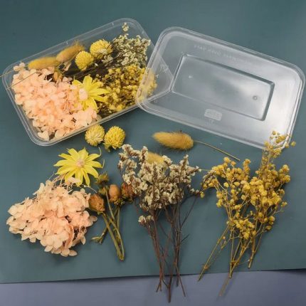 Αποξηραμένα λουλούδια για Ρητίνη, Ώχρα - σομόν